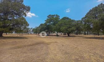 Foto de inmueble en Terreno en Venta en Santa Clara Alpuyeca, Zona Haras del Bosque, Puebla., Col. Santa Cruz Alpuyeca C.P. 75232, Cuautinchán