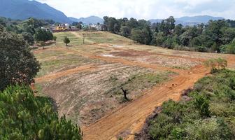 Foto de inmueble en Zacamila, Huauchinango, Col. Zacamila C.P. 73178, Huauchinango