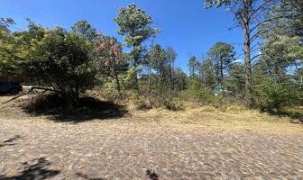 Foto de inmueble en San José de los encinos  #S/N, Col. Amealco de Bonfil Centro C.P. 76850, Amealco de Bonfil