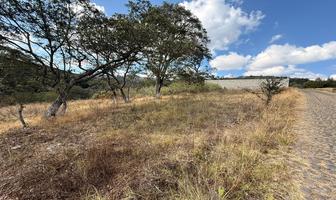 Foto de inmueble en , Col. Chitejé de la Cruz C.P. 76890, Amealco de Bonfil