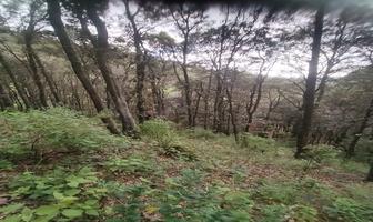 Foto de inmueble en , Col. Chitejé de la Cruz C.P. 76890, Amealco de Bonfil