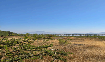 Foto de inmueble en , Col. El Milagro C.P. 76981, Huimilpan