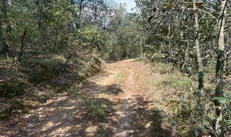 Foto de inmueble en , Col. Laguna de Servín C.P. 76875, Amealco de Bonfil