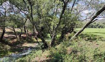 Foto de inmueble en , Col. Mesillas C.P. 76886, Amealco de Bonfil