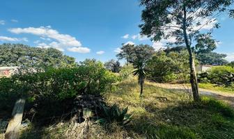 Foto de inmueble en , Col. San José Ithó C.P. 76894, Amealco de Bonfil