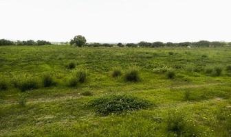 Foto de inmueble en M296+X55 Santa Rosa de Lima, Querétaro, Col. Santa Rosa de Lima (Santa Rosa Poblado) C.P. 76290, Colón
