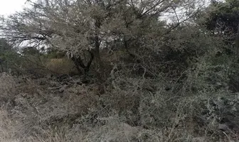 Foto de inmueble en TLACOTE EL BAJO, EL GACHUPIN #0, Col. Tlacote El Bajo C.P. 76229, Querétaro