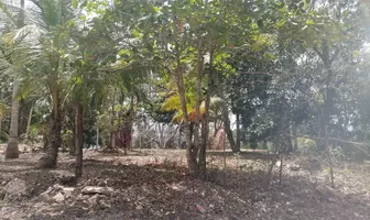 Foto de inmueble en Sin nombre de calle #snInt. sn, Col. Aarón Merino C.P. 77936, Bacalar