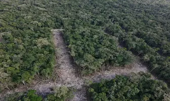 Foto de inmueble en Sin nombre #S/N, Col. Akumal C.P. 77776, Tulum