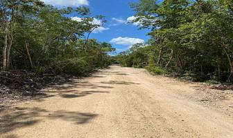 Foto de inmueble en , Col. Aldea Zama C.P. 77760, Tulum