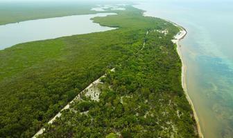 Foto de inmueble en Camino Majahual - Punta Herrero, Municipio de Bacalar, Municipio de Bacalar, Col. Bacalar Dos C.P. 77975, Bacalar