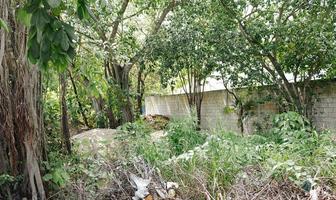 Foto de inmueble en 135 Lt 9 Mz 468, Col. Bellavista C.P. 77712, Solidaridad