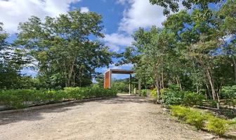 Foto de inmueble en Lote 32-13, Región 015, Manzana 005, Carretera Estatal Tulúm-Cobá Rancho viejo, Col. Boca Paila C.P. 77766, Tulum