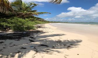 Foto de inmueble en calle 15, Col. Boca Paila C.P. 77766, Tulum