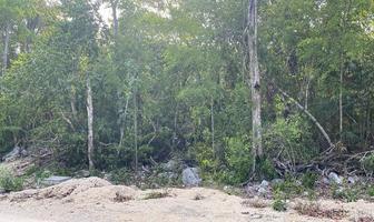 Foto de inmueble en Avenida Cenote Dos Ojos, Col. Ciudad Chemuyil C.P. 77774, Tulum