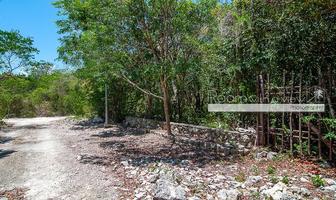 Foto de inmueble en Ejido Jacinto Pat, Col. Ciudad Chemuyil C.P. 77774, Tulum