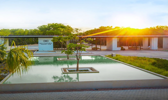 Foto de inmueble en Mayakoba Country Club, Col. Ciudad Mayakoba C.P. 77724, Solidaridad