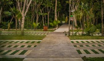 Foto de inmueble en Mayakoba, Col. Ciudad Mayakoba C.P. 77724, Solidaridad