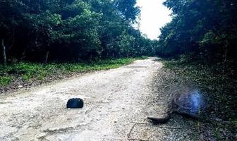 Foto de inmueble en los aluxes, Col. Ciudad Mayakoba C.P. 77724, Solidaridad