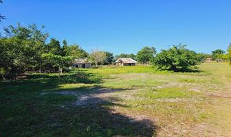 Foto de inmueble en Carretera Quintana Roo Francisco Villa-Graciano Sanchez, Col. El Remolino C.P. 77904, Bacalar