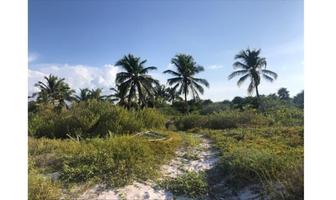 Foto de inmueble en Holbox, Col. Isla de Holbox C.P. 77310, Lázaro Cárdenas