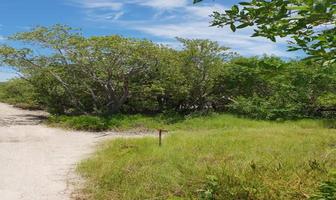 Foto de inmueble en Lote, 1614 Pies Cuadrados, Holbox, Col. Isla de Holbox C.P. 77310, Lázaro Cárdenas