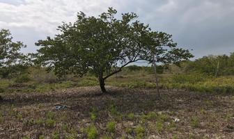 Foto de inmueble en Lote Holbox Cercano al Ferry, Quintana roo, Col. Isla de Holbox C.P. 77310, Lázaro Cárdenas