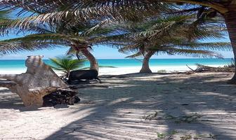 Foto de inmueble en 1 poniente, Col. La Veleta C.P. 77760, Tulum