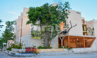 Foto de inmueble en C. Cobá 44-001, La Veleta, 77760 Tulum, Q.R., Col. La Veleta C.P. 77760, Tulum