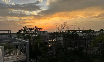Foto de inmueble en Chetumal-Cancún #307, Col. La Veleta C.P. 77760, Tulum