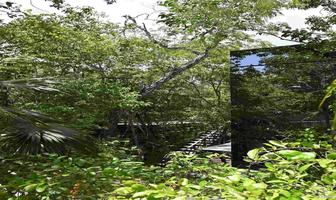 Foto de inmueble en Innovación, Lujo y Conexión con la Naturaleza, Col. La Veleta C.P. 77760, Tulum