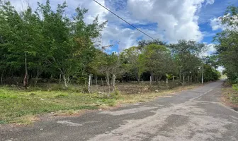 Foto de inmueble en Caobas #s/n, Col. Laguna Guerrero C.P. 77966, Othón P. Blanco