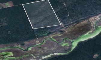 Foto de inmueble en Terreno en Ejido Laguna Guerrero con Derecho Ejidal a Orilla de la Laguna, Col. Laguna Guerrero C.P. 77966, Othón P. Blanco