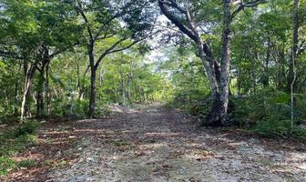 Foto de inmueble en Manzana, Col. Las Palmas C.P. 77762, Tulum