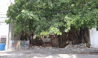 Foto de inmueble en Lt 15 Mz 491, calle 98 Nte entre 20 y 25 av Norte Colonia Colosio, Col. Luis Donaldo Colosio C.P. 77728, Solidaridad