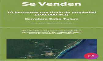 Foto de inmueble en Carretera Tulum - Coba, Col. Macario Gómez C.P. 77700, Tulum