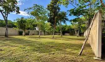 Foto de inmueble en Av. Huayacán, Col. Malibú C.P. 77533, Benito Juárez