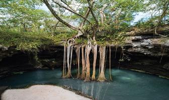 Foto de inmueble en Km 34 Carretera Tulum, Col. Manuel Antonio Ay C.P. 77795, Tulum