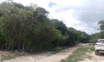 Foto de inmueble en Avenida Chetumal, SM 205, Col. Novo Cancún C.P. 77500, Benito Juárez