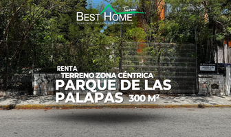 Foto de inmueble en Las palapas, Col. Novo Cancún C.P. 77500, Benito Juárez