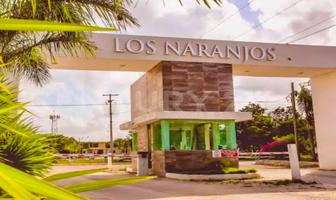 Foto de inmueble en Rogelio castorena, Col. Novo Cancún C.P. 77500, Benito Juárez
