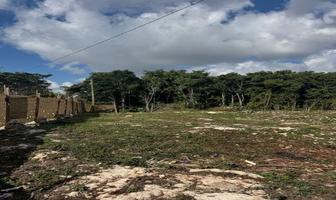 Foto de inmueble en SM 313, AV FONATUR, CANCÚN, Col. Novo Cancún C.P. 77500, Benito Juárez