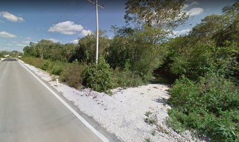 Foto de inmueble en Carretera Puerto Arturo - Xnoh Cruz, Col. Pimienta C.P. 77873, José María Morelos