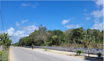 Foto de inmueble en Xel ha, Col. Playa Azul C.P. 77724, Solidaridad