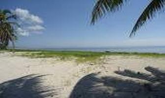 Foto de inmueble en Terreno EN Venta  Mahahual EL Uvero EN LA Playa, Col. Playa Uvero C.P. 77977, Othón P. Blanco