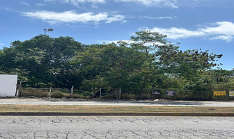 Foto de inmueble en Avenida 41 Sur, Col. Playa del Carmen C.P. 77710, Solidaridad