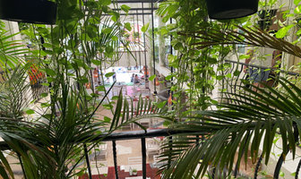 Foto de inmueble en 5a Avenida, Col. Playa del Carmen Centro C.P. 77710, Solidaridad
