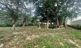 Foto de inmueble en Lote USO Mixto Sobre Av.universidades EN Playa  DEL Carmen, Col. Playa del Carmen C.P. 77710, Solidaridad
