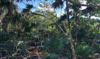 Foto de inmueble en Venta Terreno EN Puerto Aventuras Playa DEL Carmen DE 750 M2, Col. Puerto Aventuras C.P. 77733, Solidaridad