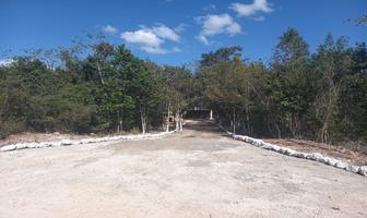 Foto de inmueble en , Col. Puerto Morelos C.P. 77580, Benito Juárez